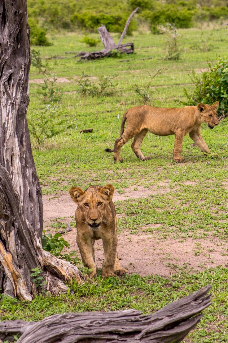 Lake Manyara